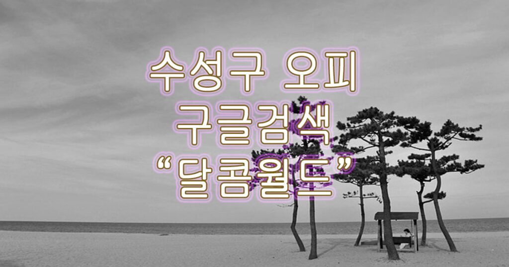 수성구오피